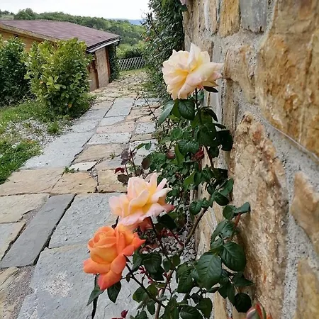 Apartma Suzy Pobegi Exterior photo